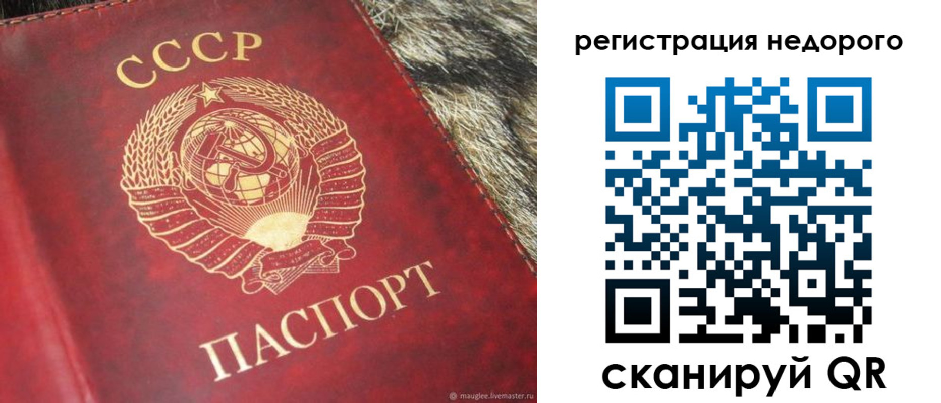 прописка ребенка в Талице